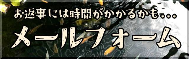 お問い合わせフォーム